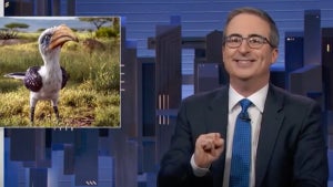 John Oliver on "Last Week Tonight," Zazu in "The Lion King" inset (HBO/Disney)