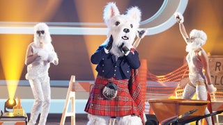 No, McTerrier Really Couldn’t See in That ‘Masked Singer’ Costume