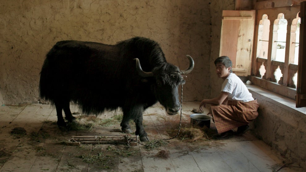 Lunana A Yak in the Classrorom