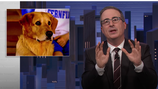 John Oliver Hilariously Tears Apart ‘Air Bud’ In Web Exclusive: ‘He’s a Complete Liability on Defense’ (Video)