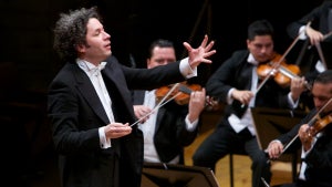 Viva Maestro