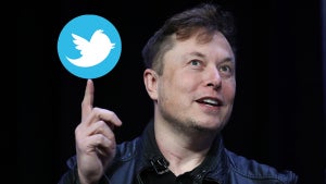 elon musk twitter
