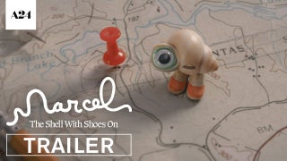 Jenny Slate Voices a Tiny Character on a Big Mission in Stop-Motion ‘Marcel the Shell’ Trailer (Video)