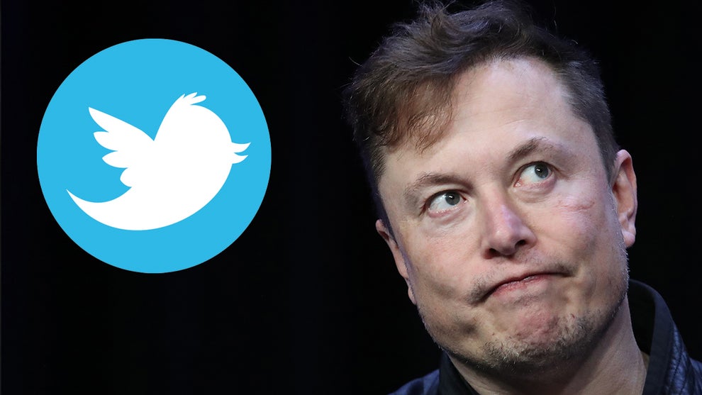 elon musk twitter