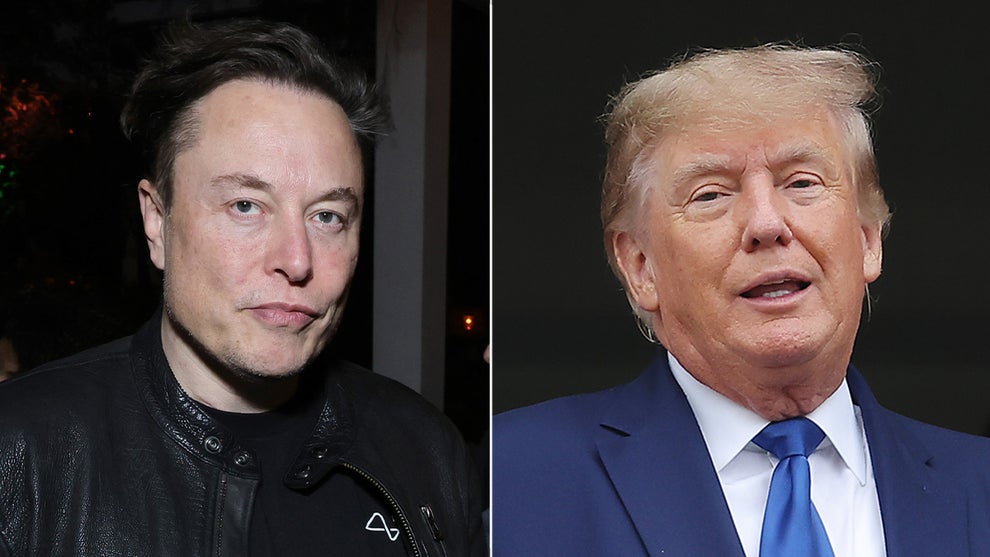 elon musk donald trump