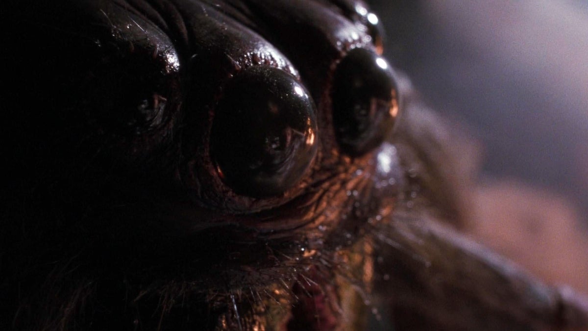 Arachnophobia Remake Secures Director Christopher Landon - Vimarsana News