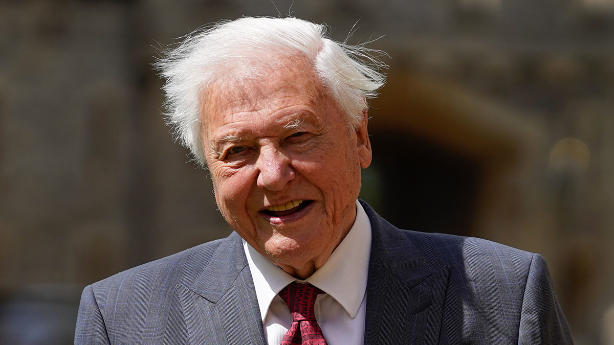 david attenborough david attenborough