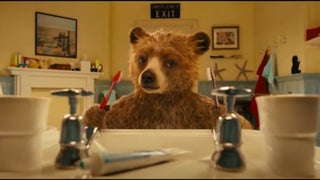 ‘Paddington 3’ Trailer: The British Bear Is Back and Heading to Peru | Video