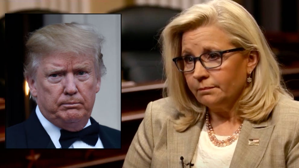 donald trump liz cheney