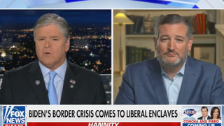 Ted Cruz Tells Sean Hannity Transporting Migrants Is Illegal – but Advocates for It Anyway (Video)
