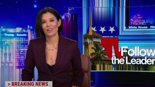 Alex Wagner Mocks Sarah Palin’s Promise to ‘Reload’ After Loss: ‘What Would a Concession Statement Be Without a Gun Metaphor?’ (Video)