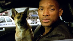 A man with a tense, alert expression sits in the driver's seat of a car alongside a German Shepherd, with a blurred urban street visible through the windshield behind them.