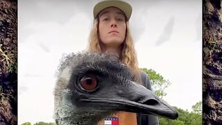 Emmanuel, Viral TikTok Emu, Fighting for His Life and Experiencing Nerve Damage With Deadly Avian Flu