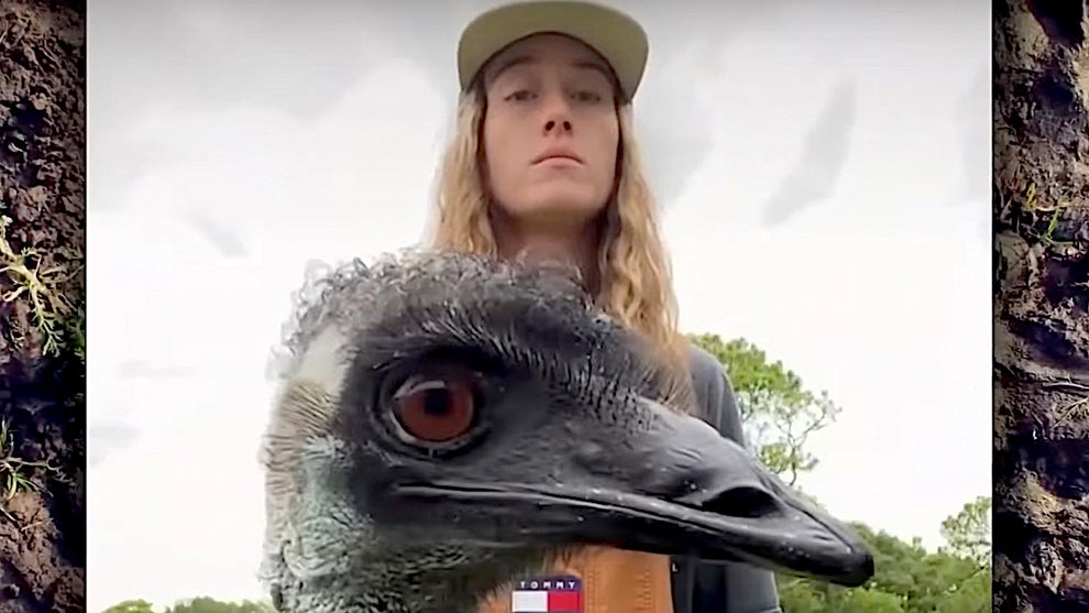 Emmanuel the emu