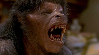 13 Best Werewolf Movies and Where to Stream Them