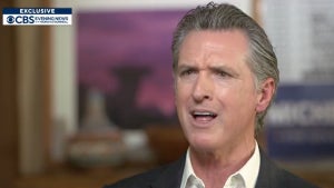 gavin newsom