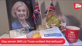 Lettuce Outlasts Resigned UK Prime Minister Liz Truss in Viral Video