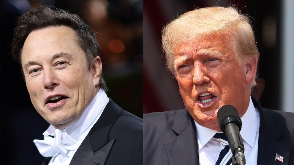 Elon Musk, Donald Trump