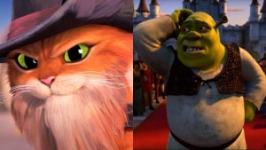 Shrek Puss in Boots