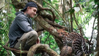 ‘Wildcat’ Film Review: Young Veteran and Baby Ocelot Heal Each Other in Moving Nature Doc