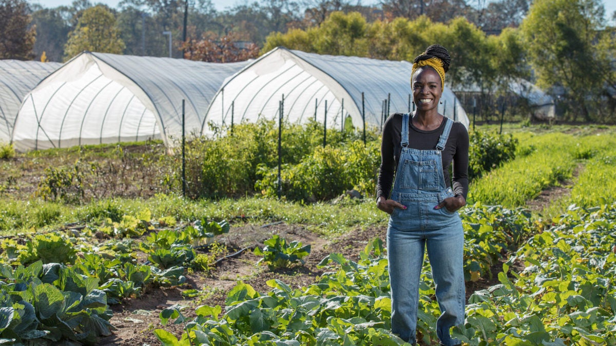 "Homegrown" Host's Farm Wiped Out By Atlanta Storm - Vimarsana News