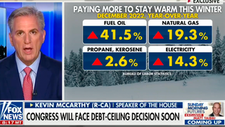 Kevin McCarthy Compares Congress to a Child With a Credit Card in Fox News Interview on Debt Limit (Video)