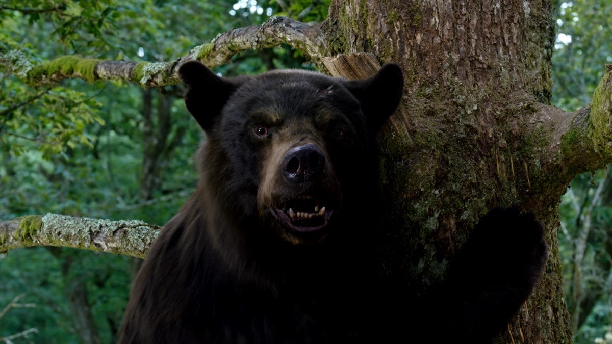 Cocaine Bear Cast and Character Guide: Who's Who? - TrendRadars