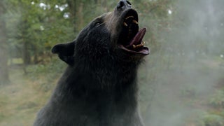 Inside the Meme-Focused ‘Cocaine Bear’ Marketing Strategy That Roared at the Box Office