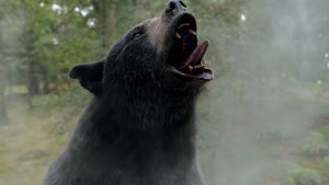 Cocaine Bear
