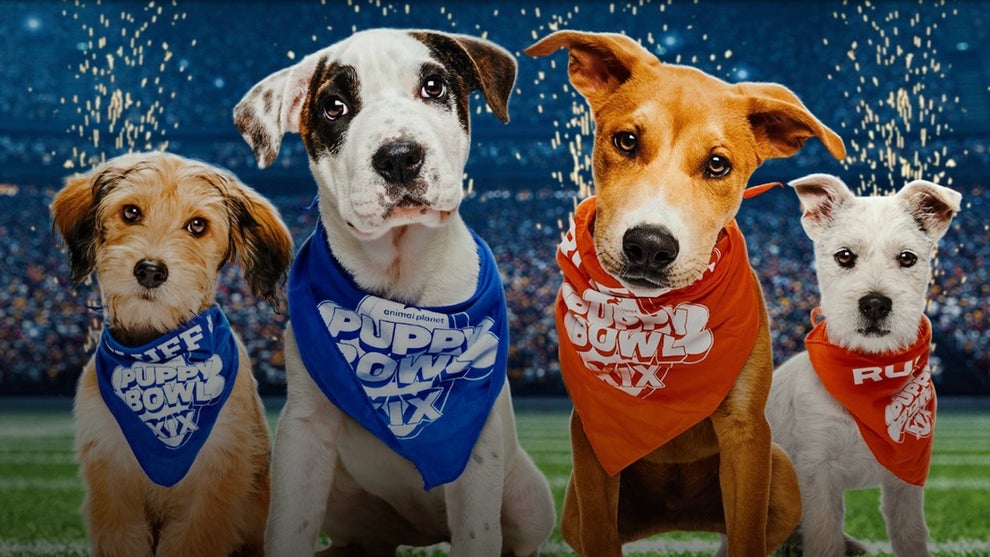 Puppy Bowl 2023