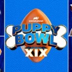 Puppy Bowl 2023 Lineup: Meet the Furry Featured Players (Photos)