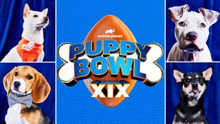 Puppy Bowl 2023 Lineup: Meet the Furry Featured Players (Photos)