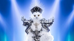 the-masked-singer-night-owl