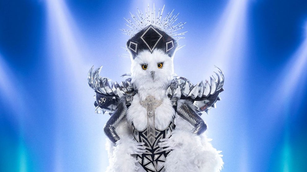 the-masked-singer-night-owl