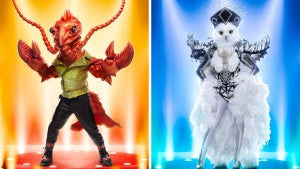 the-masked-singer-rock-lobster-night-owl