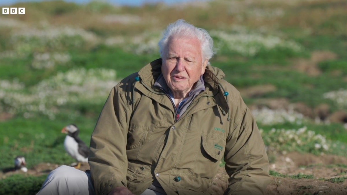 BBC Slammed for Pulling Episode of David Attenborough Series