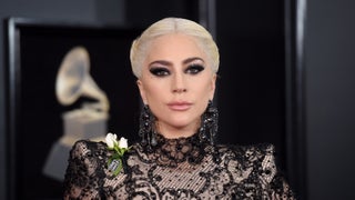 Lady Gaga Will Not Have to Pay $500,000 Reward in Dognapping Case, Judge Rules