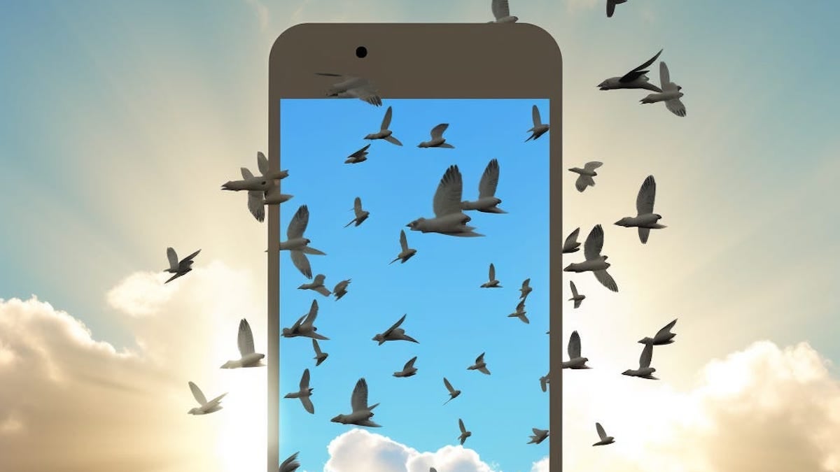 Bluesky Social is attracting social media users.