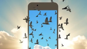 Bluesky Social is attracting social media users.