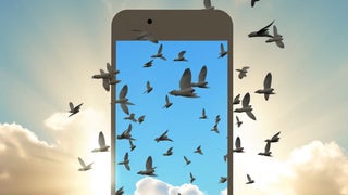 Why Bluesky Is the New Hotness | PRO Insight