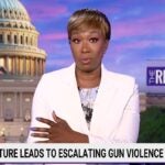 Joy Reid Bristles at Image of 6-Year-Old Aiming Pistol at Camera During NRA Fete: ‘Want to Talk About Grooming?’ (Video)