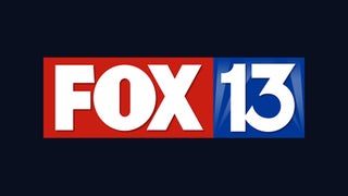 Man Fires Gun Into Memphis Fox Affiliate TV Station Window (Video)