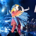 ‘The Masked Singer’ Finale: Macaw’s Persona Helped Them Embrace Being Part of the LGBTQ Community