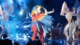 ‘The Masked Singer’ Finale: Macaw’s Persona Helped Them Embrace Being Part of the LGBTQ Community