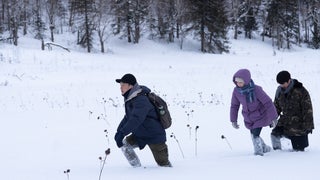 ‘The Breaking Ice’ Review: Portrait of Aimless Youth Has Beauty and Purpose