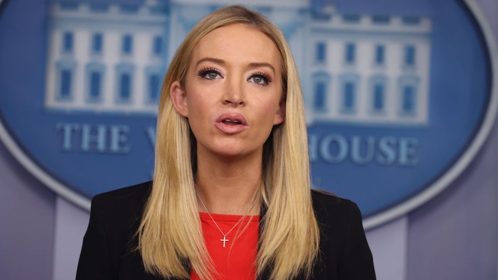 Kayleigh McEnany (Getty Images)