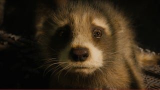 ‘Guardians of the Galaxy Vol. 3’ Cast Guide: Who Voices Rocket’s Friends? (Photos)