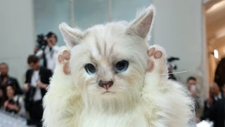 You Won’t Believe Which Oscar Winner Showed Up to the Met Gala Dressed As a Giant Cat?