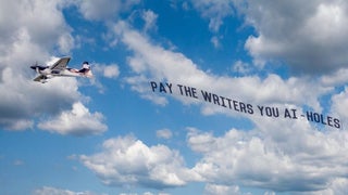 ‘Pay the Writers You AI-Holes!’ How an Instagram Joke Became a Plane Message Over Hollywood’s Studios