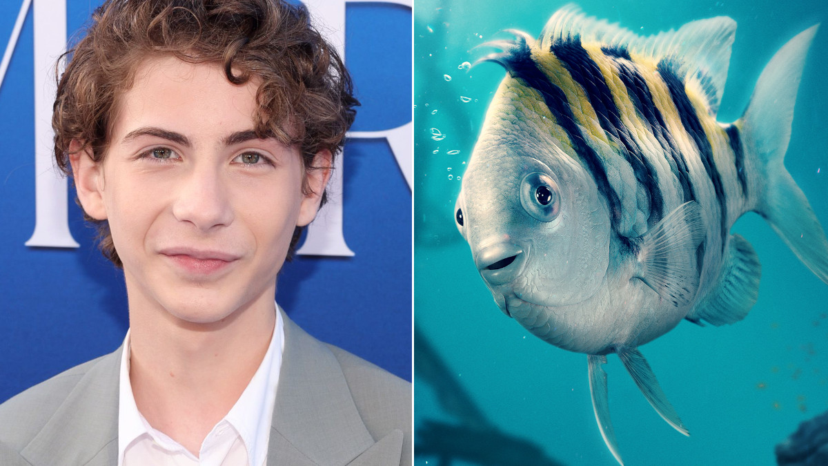 the-little-mermaid-jacob-tremblay-flounder the-little-mermaid-jacob-tremblay-flounder